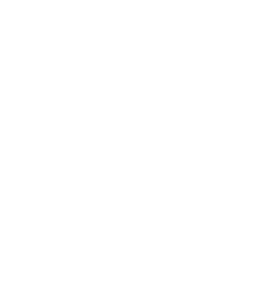 national society of black engineers